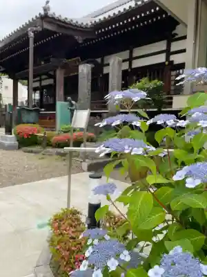常圓寺の{uncategorized: "未分類", other: "その他", undefined: "問題あり", building: "その他建物", grave: "お墓", sacred_gate: "鳥居", guardian: "狛犬", statue: "像", buddha: "仏像", history: "歴史", nature: "自然", garden: "庭園", animal: "動物", pagoda: "塔", temizu: "手水舎", mountain_gate: "山門・神門", sanctuary: "本殿・本堂", subordinate: "末社・摂社", art: "芸術", scenery: "景色", jizo: "地蔵", ema: "絵馬", goshuin: "御朱印", omikuji: "おみくじ", items: "授与品その他", amulet: "お守り", goshuincho: "御朱印帳", eats: "食事", festival: "お祭り", votive_dance: "神楽", shichigosan: "七五三参", wedding: "結婚式", experience: "体験その他", initially: "初詣", around: "周辺", anti_infection: "感染症対策"}