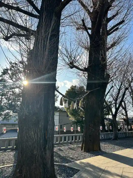 代田八幡神社(東京都)