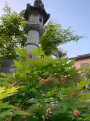 木田神社の建物その他