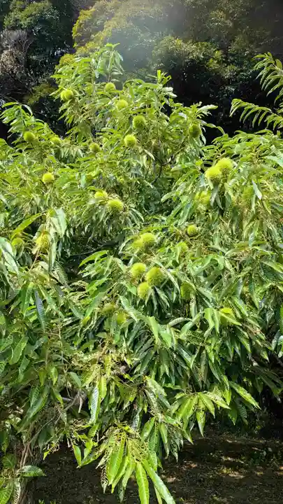 七百餘所神社 の周辺