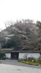 南禅寺の建物その他