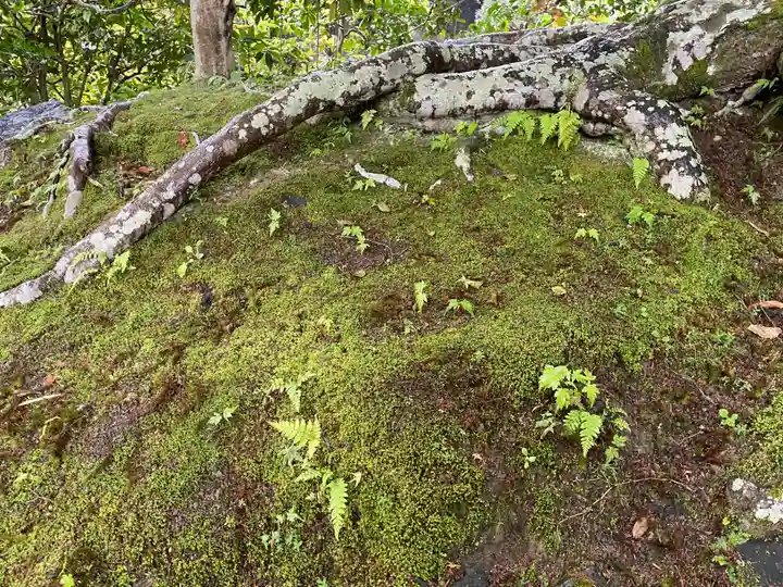 安楽寺(京都府)