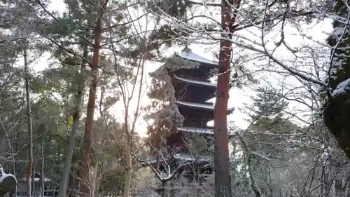 仁和寺の塔