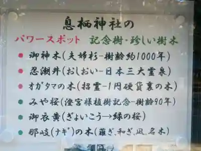 息栖神社の{uncategorized: "未分類", other: "その他", undefined: "問題あり", building: "その他建物", grave: "お墓", sacred_gate: "鳥居", guardian: "狛犬", statue: "像", buddha: "仏像", history: "歴史", nature: "自然", garden: "庭園", animal: "動物", pagoda: "塔", temizu: "手水舎", mountain_gate: "山門・神門", sanctuary: "本殿・本堂", subordinate: "末社・摂社", art: "芸術", scenery: "景色", jizo: "地蔵", ema: "絵馬", goshuin: "御朱印", omikuji: "おみくじ", items: "授与品その他", amulet: "お守り", goshuincho: "御朱印帳", eats: "食事", festival: "お祭り", votive_dance: "神楽", shichigosan: "七五三参", wedding: "結婚式", experience: "体験その他", initially: "初詣", around: "周辺", anti_infection: "感染症対策"}