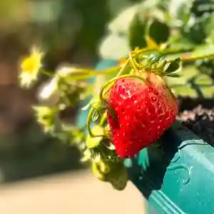 伊勢の国 四天王寺(三重県)(2026年03月26日(木) 11時49分16秒投稿)