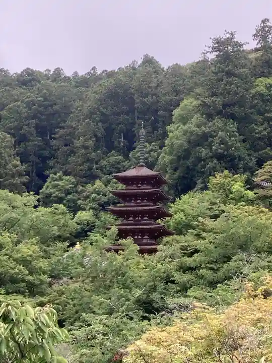 長谷寺(奈良県)