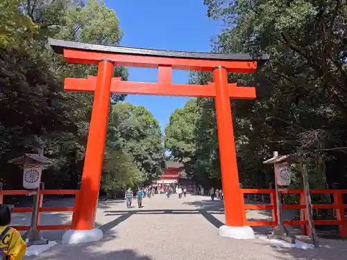 賀茂御祖神社（下鴨神社）の鳥居