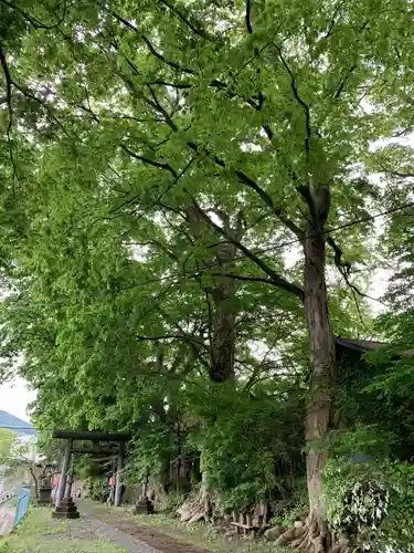 八坂神社の鳥居