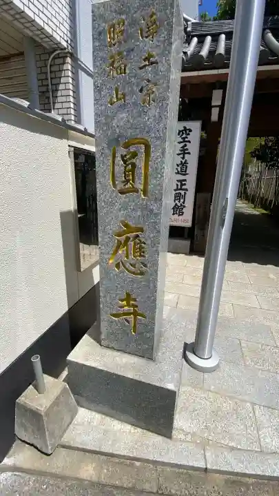 圓應寺の{uncategorized: "未分類", other: "その他", undefined: "問題あり", building: "その他建物", grave: "お墓", sacred_gate: "鳥居", guardian: "狛犬", statue: "像", buddha: "仏像", history: "歴史", nature: "自然", garden: "庭園", animal: "動物", pagoda: "塔", temizu: "手水舎", mountain_gate: "山門・神門", sanctuary: "本殿・本堂", subordinate: "末社・摂社", art: "芸術", scenery: "景色", jizo: "地蔵", ema: "絵馬", goshuin: "御朱印", omikuji: "おみくじ", items: "授与品その他", amulet: "お守り", goshuincho: "御朱印帳", eats: "食事", festival: "お祭り", votive_dance: "神楽", shichigosan: "七五三参", wedding: "結婚式", experience: "体験その他", initially: "初詣", around: "周辺", anti_infection: "感染症対策"}
