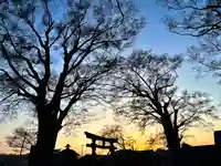 白鳥神社(長野県)