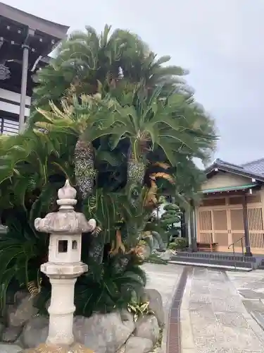 真楽寺(神奈川県)