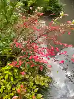 国上寺(新潟県)