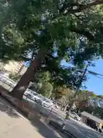 児玉神社の周辺