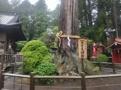 北口本宮冨士浅間神社(山梨県)