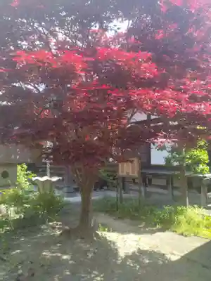 当信寺(宮城県)