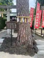 中野沼袋氷川神社(東京都)