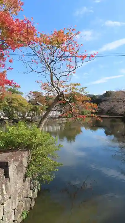 鶴岡八幡宮の庭園