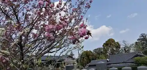 西浦荒神社 総社宮の自然