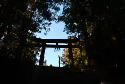 油井神社の鳥居