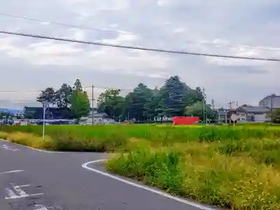 八幡社（西本地）の自然