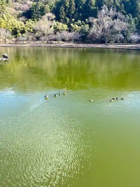 白水阿弥陀堂の自然