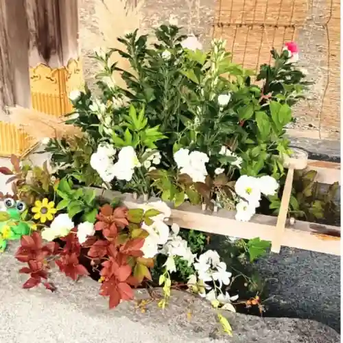 彌彦神社　(伊夜日子神社)(北海道)