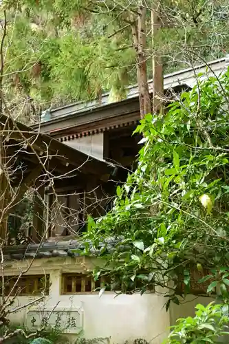 若宮八幡宮(高知県)