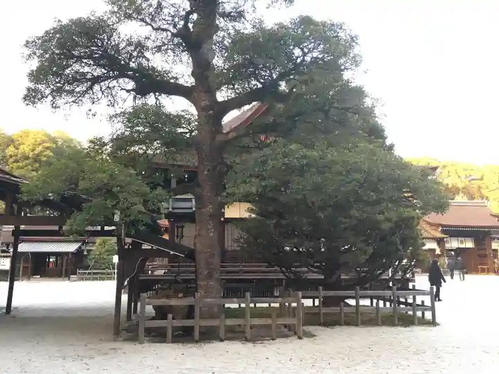 賀茂御祖神社(下鴨神社)(京都府)