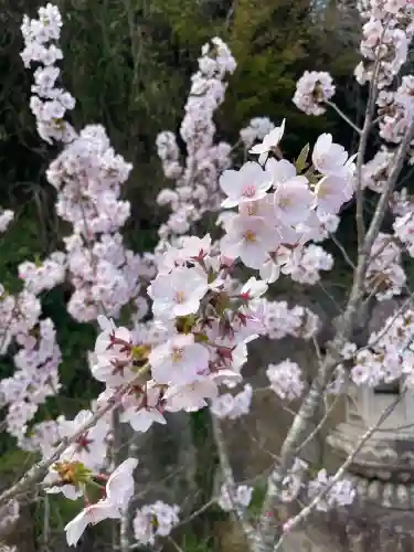 釣石神社の{uncategorized: "未分類", other: "その他", undefined: "問題あり", building: "その他建物", grave: "お墓", sacred_gate: "鳥居", guardian: "狛犬", statue: "像", buddha: "仏像", history: "歴史", nature: "自然", garden: "庭園", animal: "動物", pagoda: "塔", temizu: "手水舎", mountain_gate: "山門・神門", sanctuary: "本殿・本堂", subordinate: "末社・摂社", art: "芸術", scenery: "景色", jizo: "地蔵", ema: "絵馬", goshuin: "御朱印", omikuji: "おみくじ", items: "授与品その他", amulet: "お守り", goshuincho: "御朱印帳", eats: "食事", festival: "お祭り", votive_dance: "神楽", shichigosan: "七五三参", wedding: "結婚式", experience: "体験その他", initially: "初詣", around: "周辺", anti_infection: "感染症対策"}