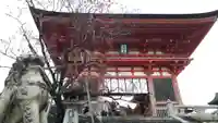 清水寺の狛犬