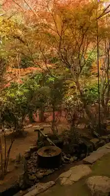 龍安寺(京都府)