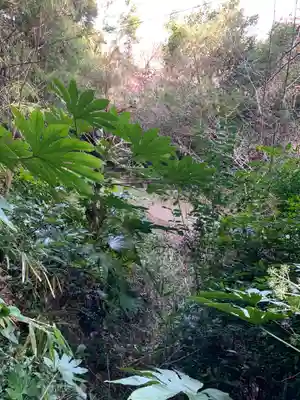 山王神社(千葉県)