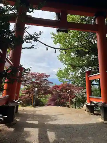 新倉富士浅間神社の鳥居