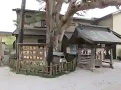 御霊神社(神奈川県)