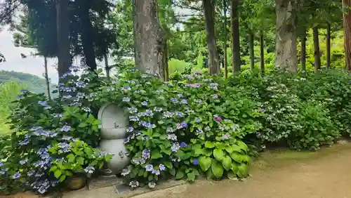 高林寺(福島県)