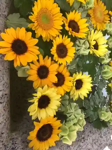 住吉神社の手水舎
