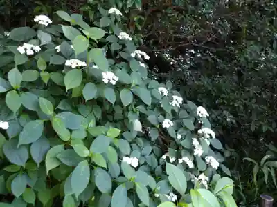 詩仙堂(丈山寺)(京都府)