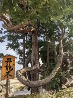 辰尾神社の自然