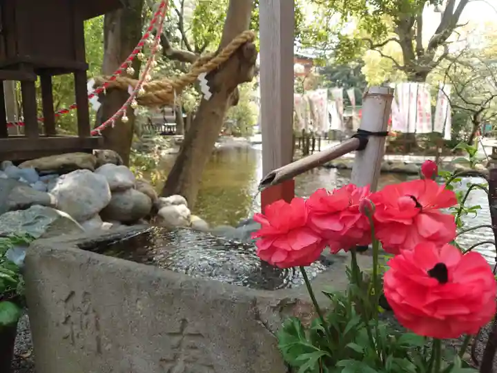 平塚八幡宮(神奈川県)