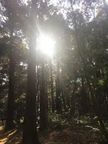 鹿島神宮の自然