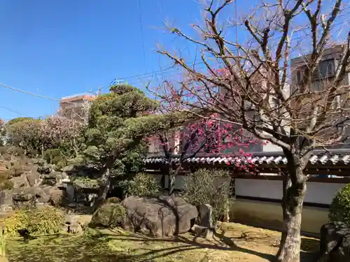 感通寺の庭園