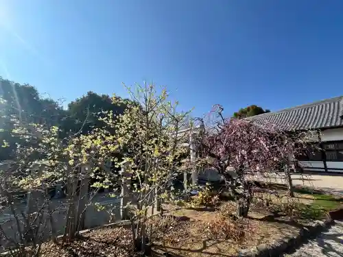 比佐豆知神社の{uncategorized: "未分類", other: "その他", undefined: "問題あり", building: "その他建物", grave: "お墓", sacred_gate: "鳥居", guardian: "狛犬", statue: "像", buddha: "仏像", history: "歴史", nature: "自然", garden: "庭園", animal: "動物", pagoda: "塔", temizu: "手水舎", mountain_gate: "山門・神門", sanctuary: "本殿・本堂", subordinate: "末社・摂社", art: "芸術", scenery: "景色", jizo: "地蔵", ema: "絵馬", goshuin: "御朱印", omikuji: "おみくじ", items: "授与品その他", amulet: "お守り", goshuincho: "御朱印帳", eats: "食事", festival: "お祭り", votive_dance: "神楽", shichigosan: "七五三参", wedding: "結婚式", experience: "体験その他", initially: "初詣", around: "周辺", anti_infection: "感染症対策"}