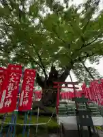 秩父今宮神社(埼玉県)