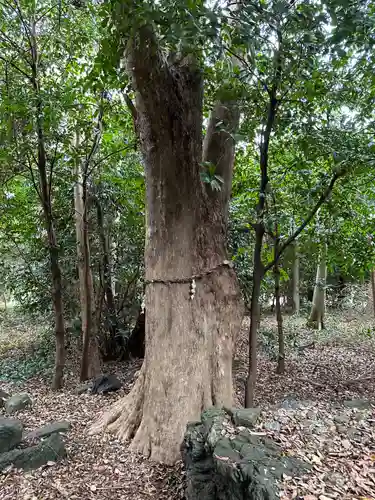 畠田神社(三重県)