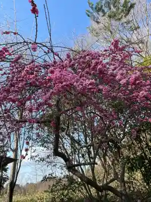 高屋敷稲荷神社(福島県)