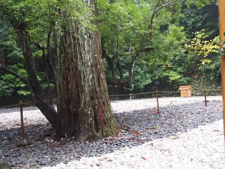 伊勢神宮外宮(豊受大神宮)の自然