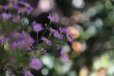 大鏑神社の手水舎