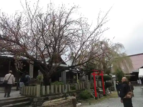 櫻本坊のその他建物