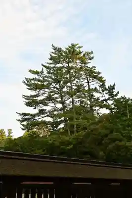 出雲大社(島根県)