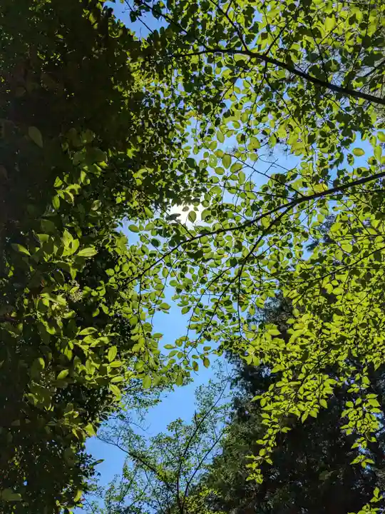 尾張冨士大宮浅間神社の自然